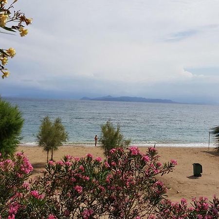Perfect Beachfront Apartment Атина Екстериор снимка