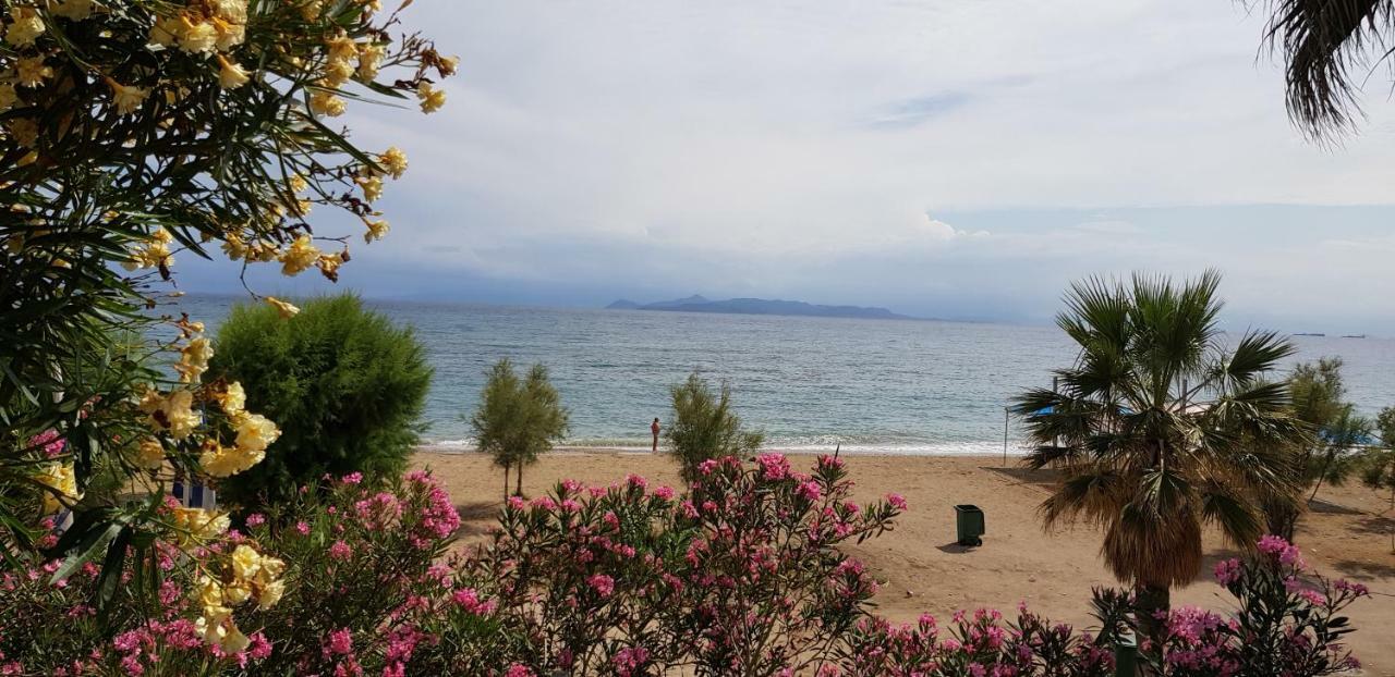Perfect Beachfront Apartment Атина Екстериор снимка